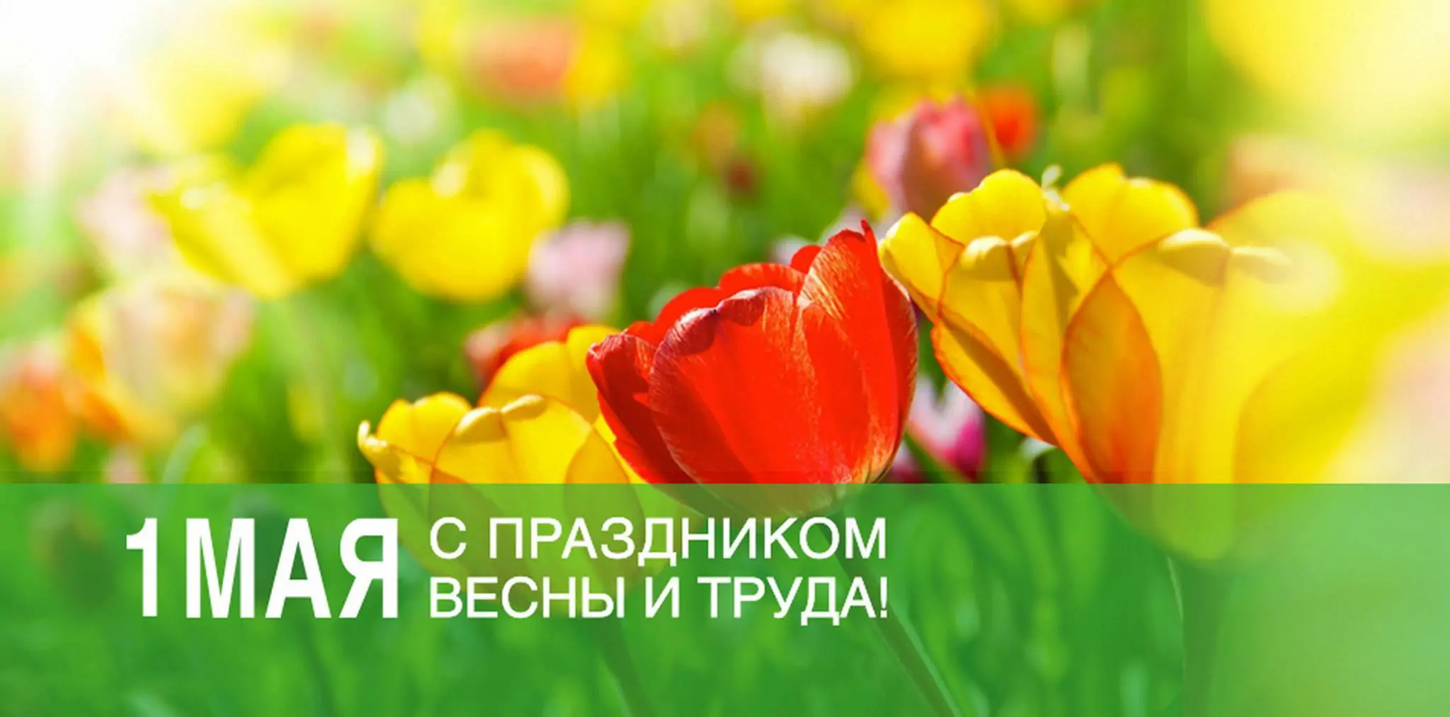 фото статьи